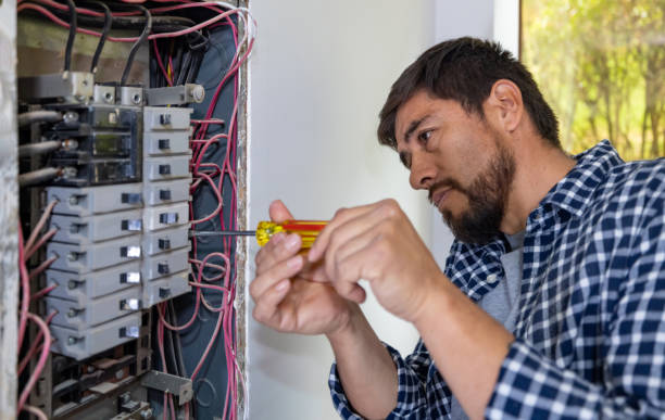 Best Ceiling Fan Installation Electrician  in Hugo, MN